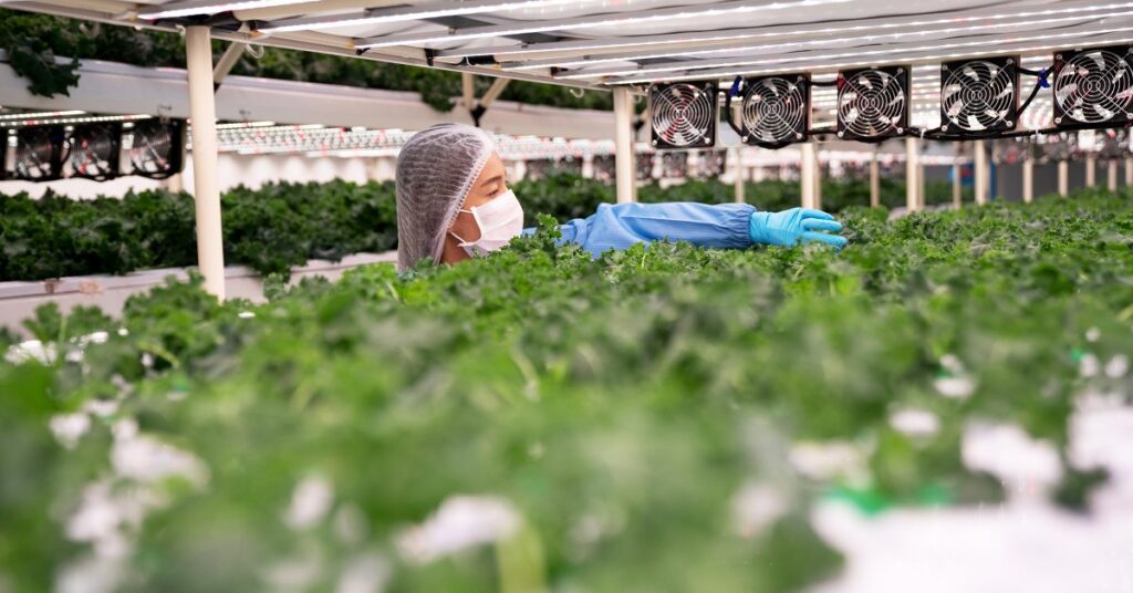 TIME Top GreenTech Companies of 2026 Search