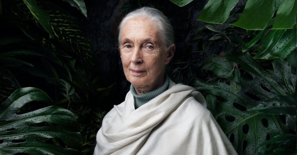 Jane Goodall’s Message of Hope Lives On