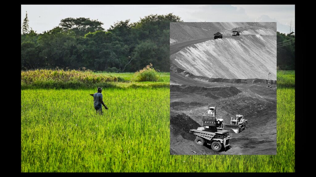 The Phosphorus Paradox