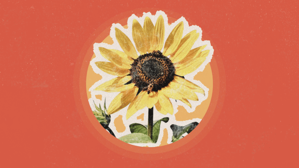 How Smells Impact Your Mental Health How Smells Impact Your Mental Health