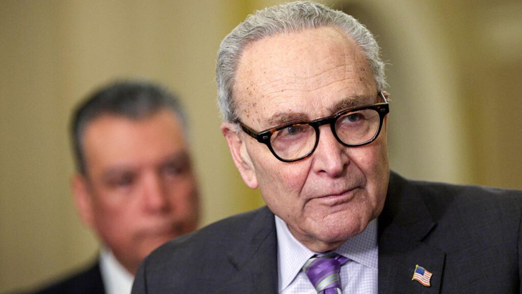 In Key Senate Races, Schumer Willing to Back Candidates Who Want Him Gone