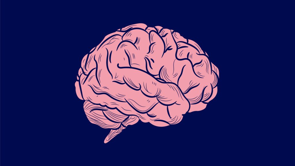 Women’s Brains Are a  Trillion Opportunity