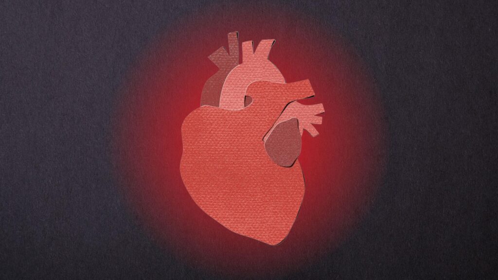 Heart Disease Is Preventable. So Why Does It Kill So Many of Us?