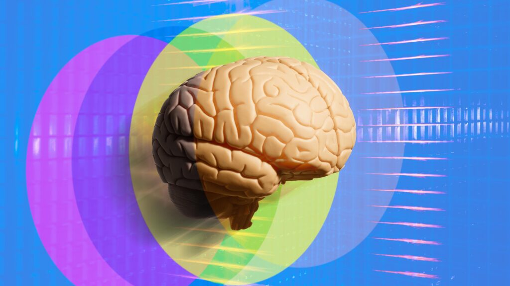 The Neuroscience of the Self