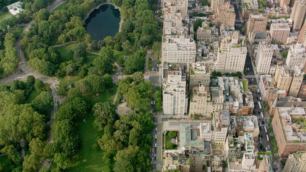 Arbor Day Is Actually About Infrastructure