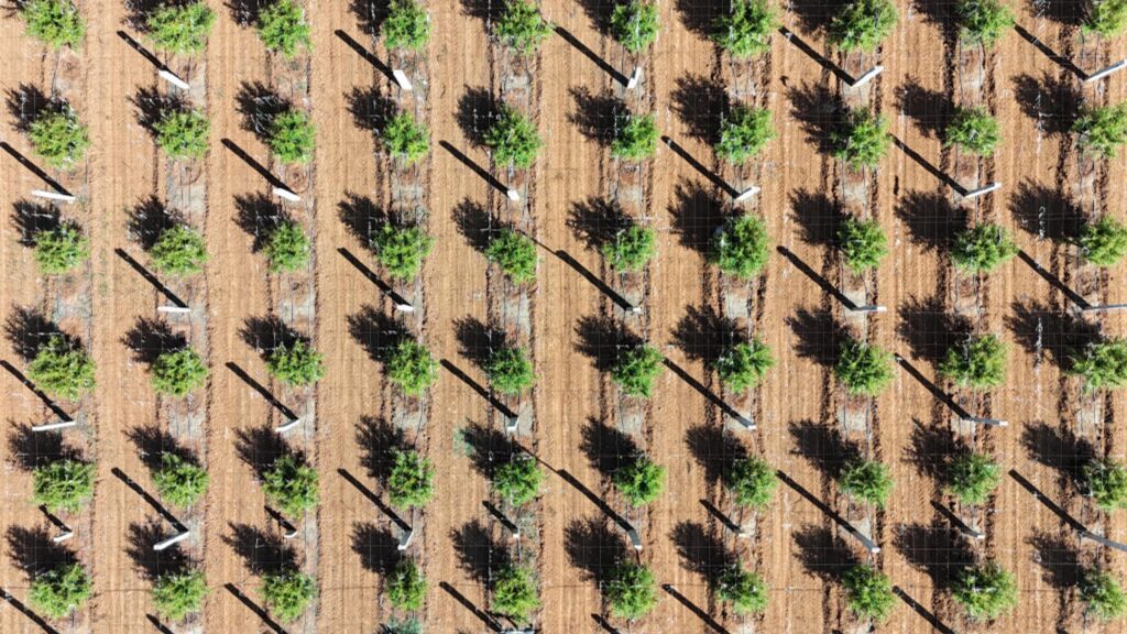 Let’s Use AI to Build a Better World Rather Than Allow AI to Define Our Future