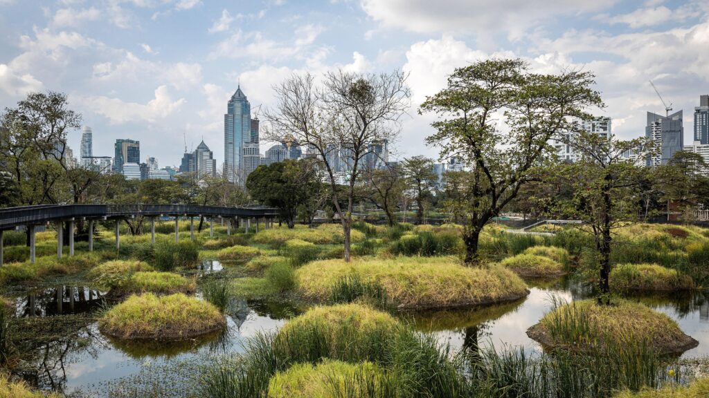 What Has Gone Wrong With Architecture