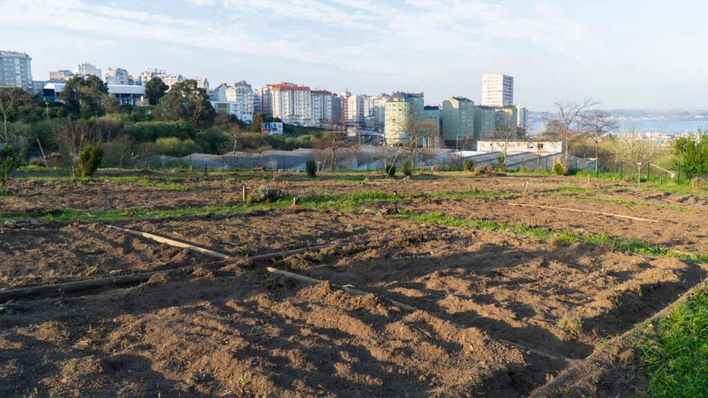 City Farming Could Supply Nearly 30% of Europe’s Fruit and Vegetable Needs