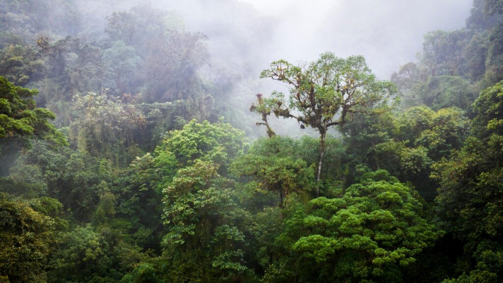 A Snake Bite Revealed How We Can Help Heal the Planet