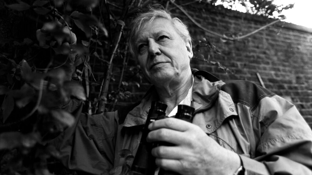 At 100, David Attenborough Is Nature’s Most Trusted Voice
