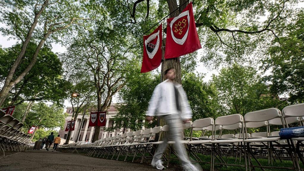 U.S. Sees 20% Drop in New International Students
