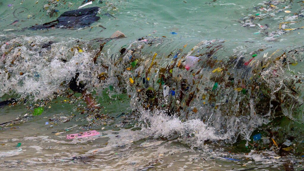 The Ocean’s Health Is Deteriorating on Multiple Fronts, U.N. Scientists Warn The Ocean’s Health Is Deteriorating on Multiple Fronts, U.N. Scientists Warn