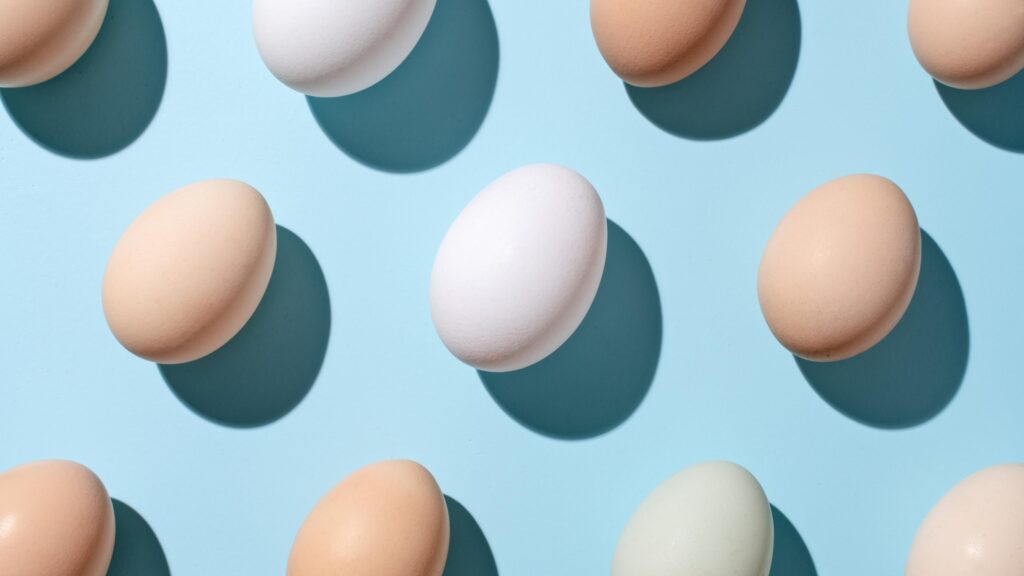 Feeding Kids Eggs Early in Life Helps Prevent Food Allergy, New Study Says Feeding Kids Eggs Early in Life Helps Prevent Food Allergy, New Study Says