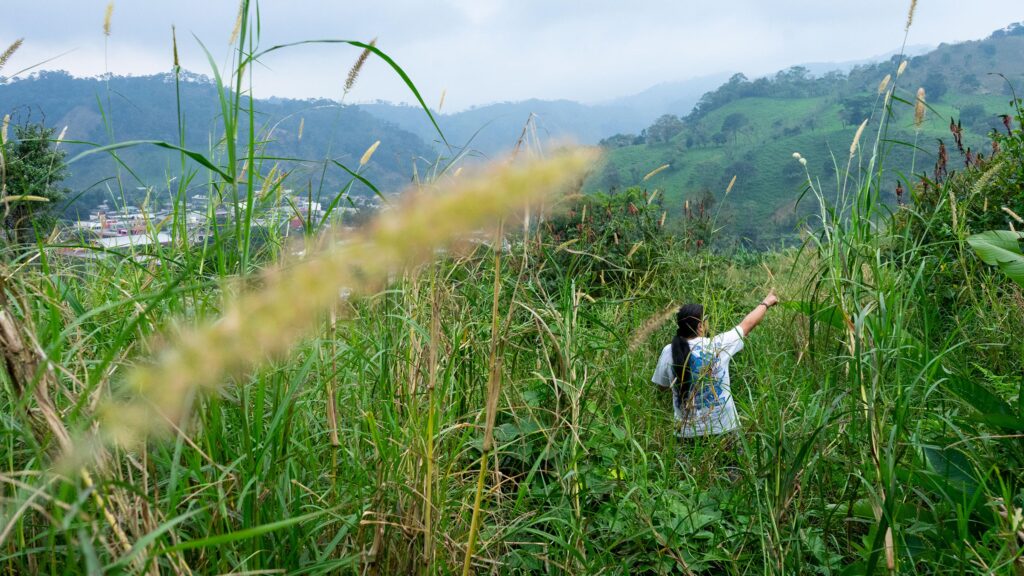 Indigenous Environmental Defenders in Latin America Are Fighting For Their Land