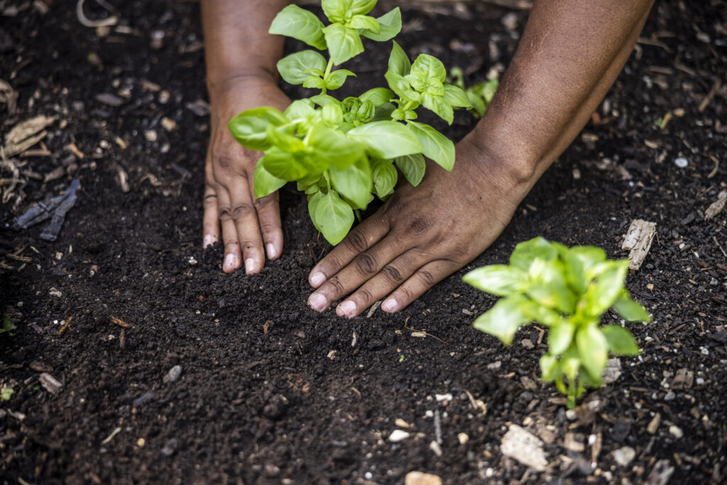Does The Future of Climate Resilience Lie Beneath Our Feet?