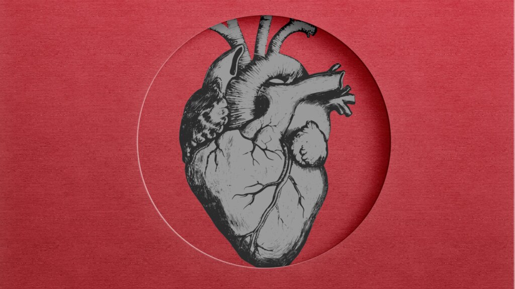 New Study Finds Link Between Microplastics and Heart Attacks New Study Finds Link Between Microplastics and Heart Attacks