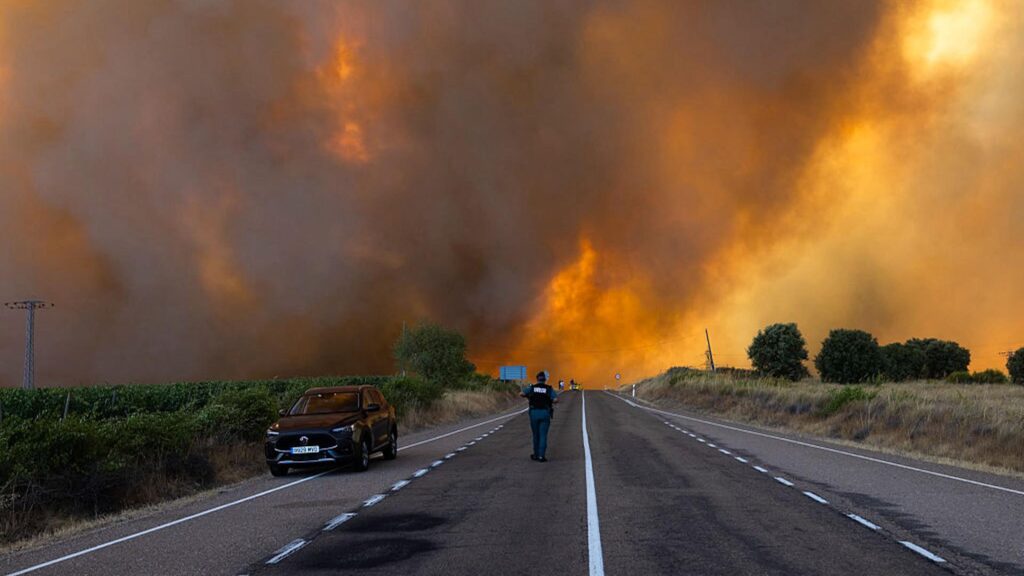 How to Help the Victims of Europe’s Deadly Wildfires How to Help the Victims of Europe’s Deadly Wildfires