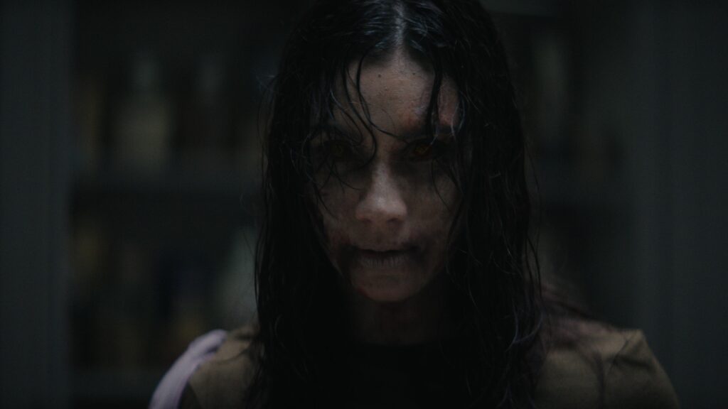 How Evil Dead Burn Fits Into the Long-Running Horror Franchise How Evil Dead Burn Fits Into the Long-Running Horror Franchise