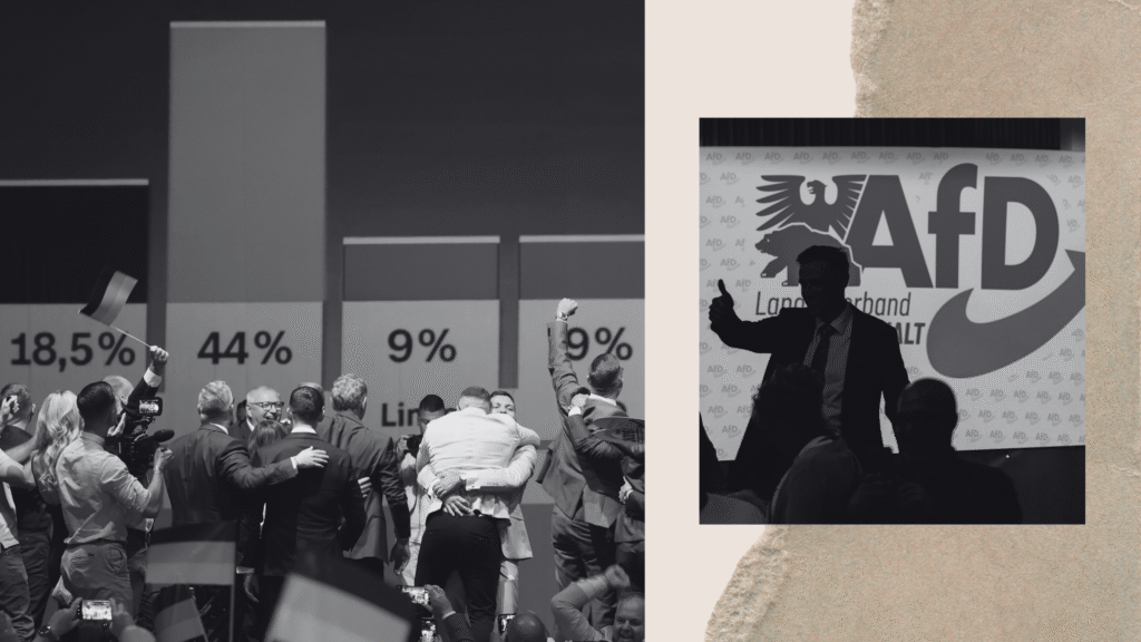 The AfD’s Dark Agenda for Germany